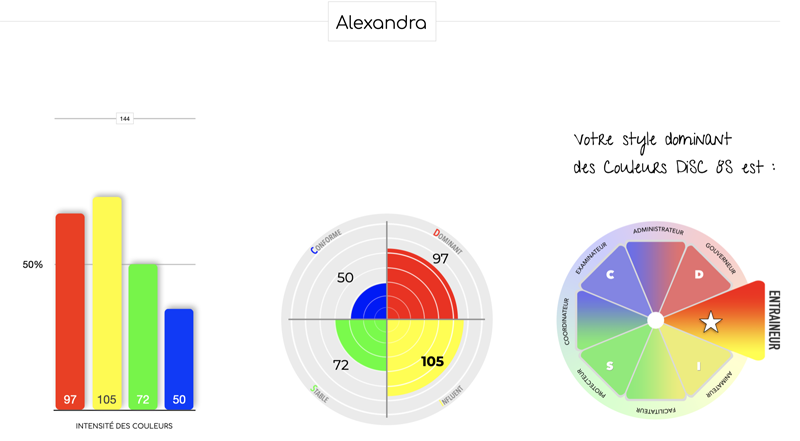 profil-personnel-disc