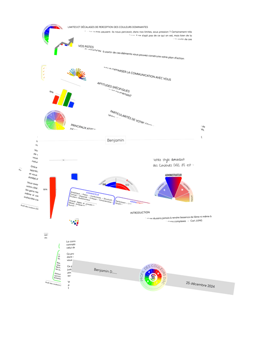 profil-couleurs-disc