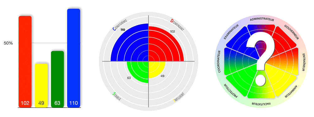 graphiques-profil-disc