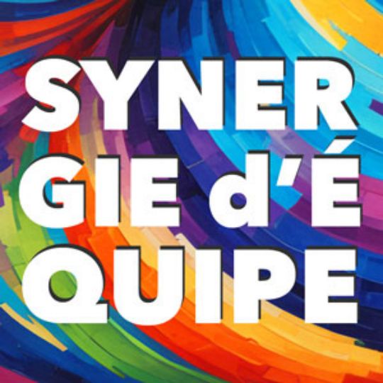 Formation-synergie-equipe-disc